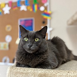 Photo of Stormy