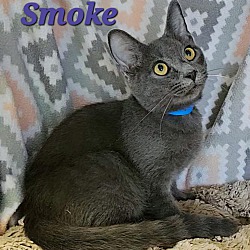 Thumbnail photo of Smoke #3