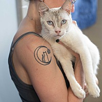 adopt a pet