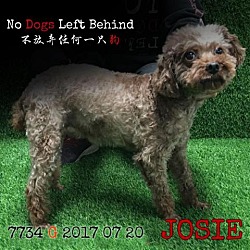 Photo of Josie7734