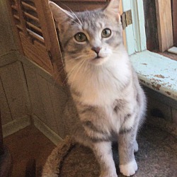Photo of Penny