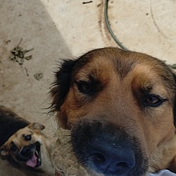 Photo of Lula