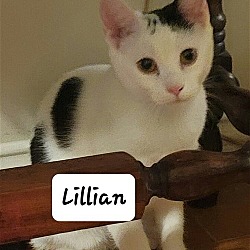 Photo of Lillian