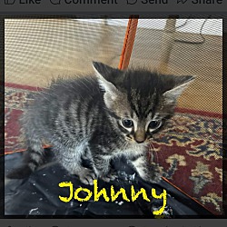Photo of Johnny