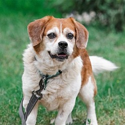 Photo of Gordon