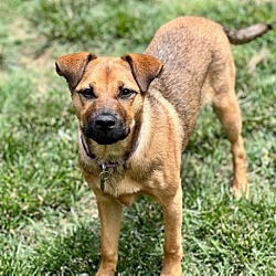 Photo of LIL BAILEY GIRL