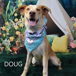 Thumbnail photo of Doug #2