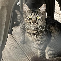 Photo of Caitlyn
