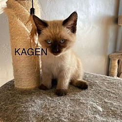 Photo of Kagen