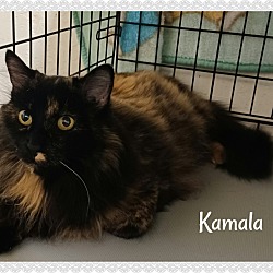 Photo of Kamala
