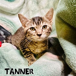 Photo of Tanner
