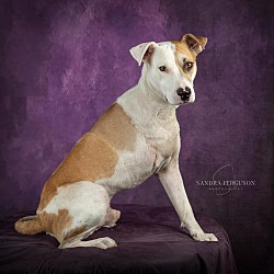 Photo of Miko