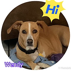 Photo of Wendy