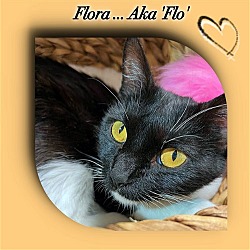 Photo of Flora (aka Flo)
