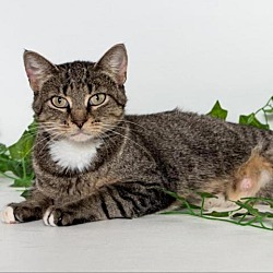 Photo of Carmelita-C