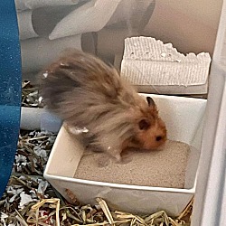 Photo of Eliza