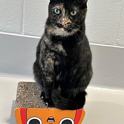 Photo of Cali