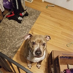 Photo of Coco