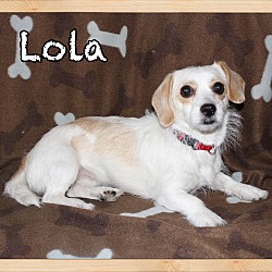 Thumbnail photo of Lola #4