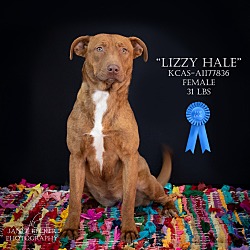 Photo of Lizzy Hale