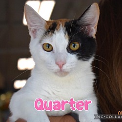 Thumbnail photo of Quarter #1