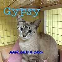 Photo of Gypsy
