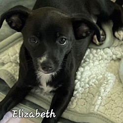Photo of ELIZABETH