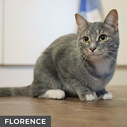 Thumbnail photo of Florence #3