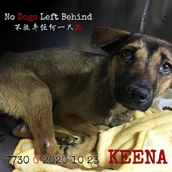 Thumbnail photo of Keena 7730 #1