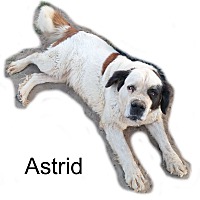 Photo of Astrid