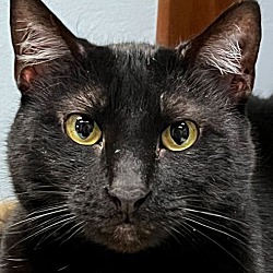 Photo of Patsy