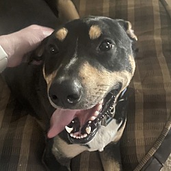 Photo of Cooper
