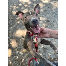 Photo of BLUE