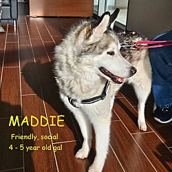Photo of MADDIE