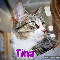 Photo of Tina