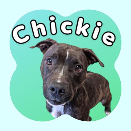 Photo of Chickie