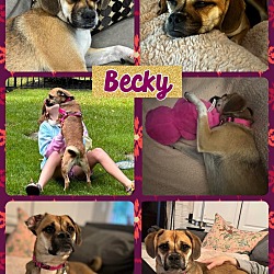 Thumbnail photo of Becky #1