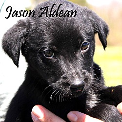 Thumbnail photo of Jason Aldean ~ meet me! #2