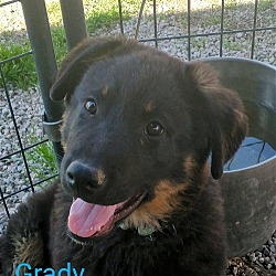 Photo of Grady