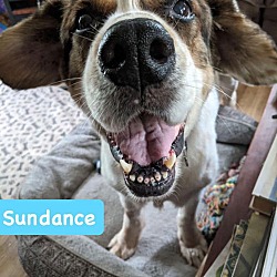 Photo of Sundance