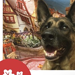 Photo of Bella
