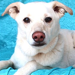 Photo of Odin