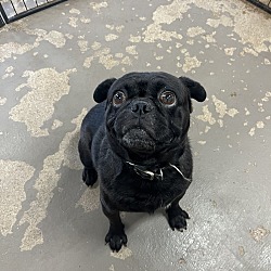 Photo of Stanley