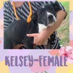 Thumbnail photo of Kelsey #2