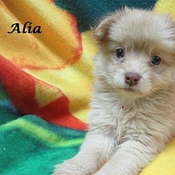 Thumbnail photo of Alia #3