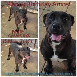 Thumbnail photo of Amos #2
