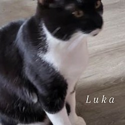 Photo of Luka