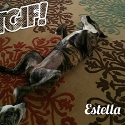 Thumbnail photo of Estella "Stella" #4