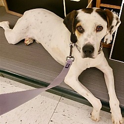Photo of Tipster