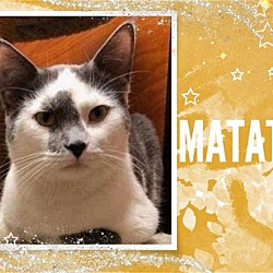 Photo of Matata